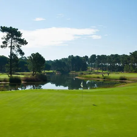 Cuca Aroeira (Setubal)