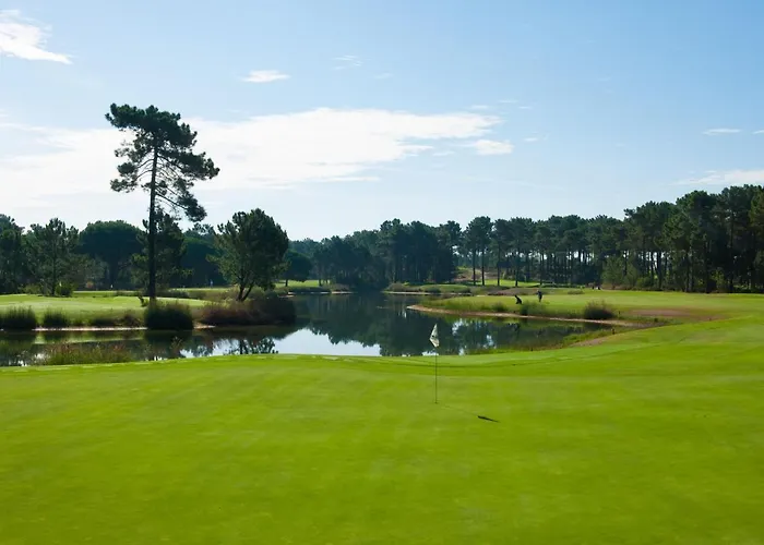 Cuca Aroeira (Setubal)